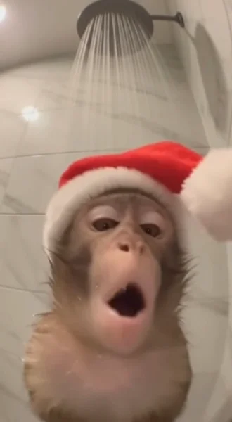 Vertical video, 9 seconds long, smooth 60fps, safe