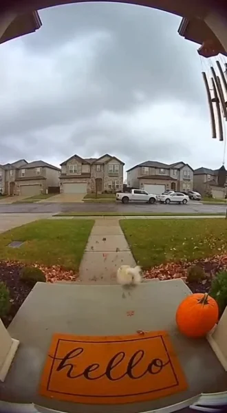Vertical video, 9 seconds long, smooth 60fps, safe