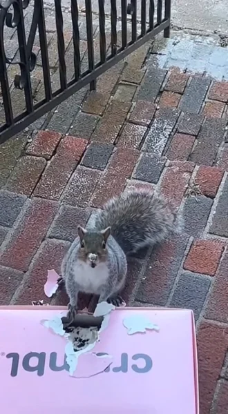 1) Format
Vertical 9:16 video, duration 8–10 secon